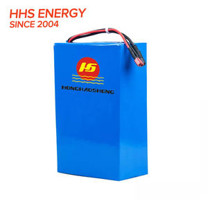 Paket Baterai Sepeda Roda Tiga Elektrik, Paket Baterai Sepeda Roda Tiga Elektrik 48V 10ah 20ah 30ah - Product Image 5