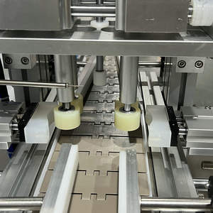 Machine de remplissage automatique à 4 têtes à pompe magnétique pour la transformation laitière, en acier inoxydable, capacité 20 L/h - Product Image 3