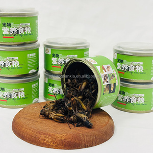 Cigales noires conservées de haute qualité - Source de protéines idéale pour les animaux exotiques - Product Image 4