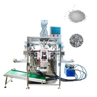Machine d'emballage de pochettes de glace à film à six rangées et deux rouleaux en acier inoxydable SS304 haute vitesse pour le transport de fruits de mer