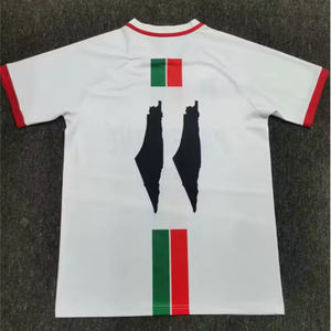 قميص منتخب فلسطين الرياضي الإصدار الخاص الجديد للرجال، بدلة تدريب رياضية، تي شيرت فلسطين - Product Image 4