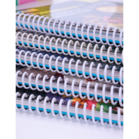 Cahier à spirale pour l'éducation préscolaire, avec feuilles détachables pour écrire et effacer, impression de livres circulaires pour enfants