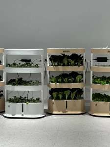 ขายส่งชั้นวางไฮโดรโปนิกส์ในร่ม ขายส่งระบบ<span class=keywords><strong>ปลูก</strong></span>แนวตั้ง การปลูกผักใน<span class=keywords><strong>บ้าน</strong></span> - Product Image 5