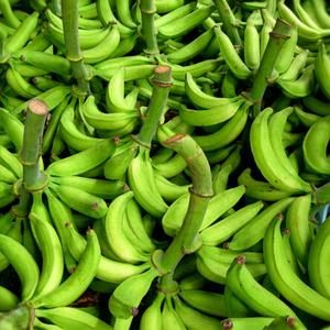 [VENTE CHAUDE] Bananes Cavendish BLUE LOTUS FARM Vertes Fraîches Sucrées Qualité Export 2kg pour Consommation Directe Smoothies et Cuisine - Product Image 1
