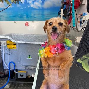 UrDream Éxito de Ventas Remolque de Peluquería Canina Móvil Remolque de Lavado de Perros Multifunción Remolque de Salón de Belleza para Mascotas Móvil para Exteriores - Product Image 6