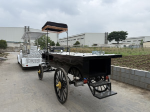 Carroza Fúnebre Eléctrica Negra con Cubierta de Vidrio / Carroza para Ataúd Tirada por Caballos - Product Image 6