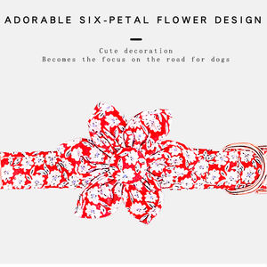 Kampanye UI penjual terbaik kustom pelat nama emas Set kerah anjing peliharaan empuk tidak ada tarik dibuat katun murni poliester pabrik hewan peliharaan - Product Image 6