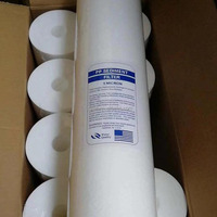 Filtre à eau en PP soufflé à chaud de 5 microns pour traitement de l'eau, filtre à sédiments PP de 20 pouces, diamètre extérieur de 110 mm
