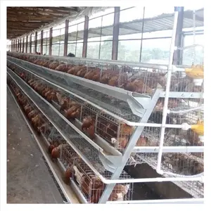 Automatic Battery Cage For Layers Automatic Battery Cage System Good Chicken Layer Price Cage For Sale