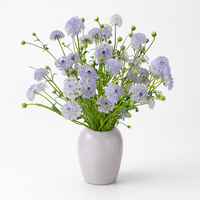 Trachymene violet clair fraîchement coupé à longue tige, origine Yunnan, pour arrangements floraux de mariage, Saint-Valentin, anniversaire, décoration intérieure
