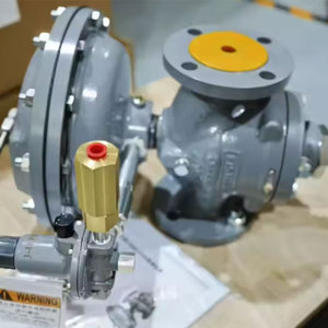 Meilleur régulateur de gaz piloté pour la réduction et la régulation 1098-EGR 299H MR95 – Offre Spéciale - Product Image 2