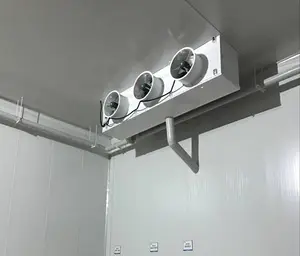 Koude Kamer Opslag Ammoniak Verdamper Condensor