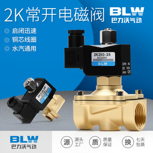 Vanne solénoïde 2K250-25 AC220V 3/4 po pour le contrôle de l'eau, température normale 0-1 Mpa, corps en laiton - Product Image 2