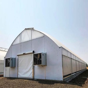 Serra Commerciale Skyplant con Tunnel in Polietilene, Automatizzata per Agricoltura con Funzioni di Privazione della Luce <span class=keywords><strong>e</strong></span> Oscuramento - Product Image 6
