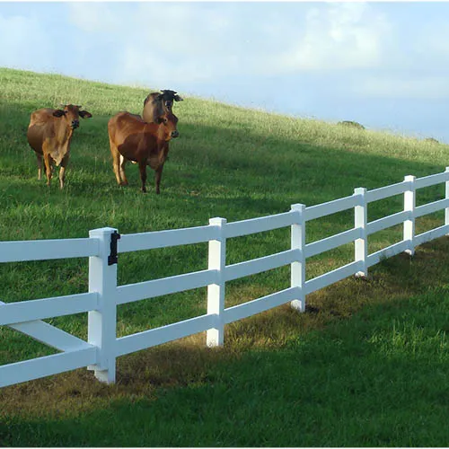 PVC at çit çiftlik çit/cerca de la granja de caballos