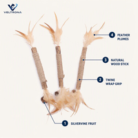 Bâtonnets de chat en plumes de vigne argentée, lot de 3, jouet naturel en bois avec alternative à la cataire et fruits de galle pour chats d'intérieur