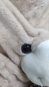 Peluche Personalizzabili Senza Imbottitura - Gusci per Giocattoli a Forma di Orso Senza Cotone PP, Forniture all'Ingrosso per Artigianato Fai-da-Te - Product Image 3