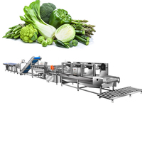 Commerciële Groenteverwerkingslijn Fabrikanten Salade Groente-En Fruitsnij-En Wasapparatuur