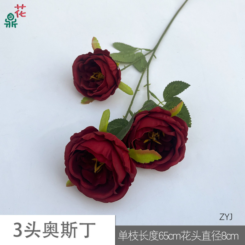 3 Austin ZYJ Red