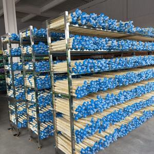 Boyaux de porc naturels de qualité supérieure, <span class=keywords><strong>prix</strong></span> compétitif direct usine - Product Image 1