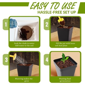 Quốc gia phong cách <span class=keywords><strong>Bonsai</strong></span> Starter Kit với phát triển hướng dẫn bao gồm <span class=keywords><strong>bonsai</strong></span> cây đất chậu đánh dấu - Product Image 5