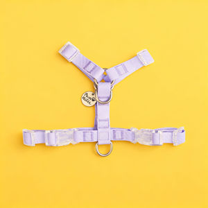 Arnés de perro impermeable ajustable reflectante en forma de Y duradero, accesorio para mascotas recubierto de PVC de lujo, diseño Simple de moda al por mayor - Product Image 1