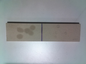 42% kali <span class=keywords><strong>Methyl</strong></span> silicat CAS 31795-24-1 công thức phân tử ch3ko3si - Product Image 4