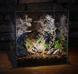 Decoración de Piedra de Dragón para Acuario, Paisajismo de Acuario, Adorno Creativo, Accesorios para Acuario, Belleza Acuática - Product Image 3