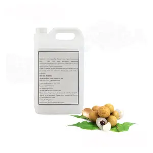 2023 hot sale concentrate juice 50 times concentrate fruit syrup-longan flavor