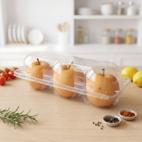 Boîte alimentaire jetable en plastique thermoformé pour fruits (fraises), sushis, pizzas, nouilles, hamburgers à emporter - PET MINXING