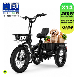 Bicicleta Eléctrica con Llantas Gruesas de 20 Pulgadas, Batería de Litio de 48V 15Ah, Cuadro de Aluminio, Largo Alcance, para Adultos, Envío Directo desde Almacén Local en la UE, X13 KOOLUX - Product Image 4