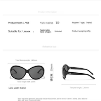 Lunettes de soleil rétro UV400 2026 de haute qualité, grandes lunettes ovales de luxe, personnalisables avec logo, pour femmes, tendance