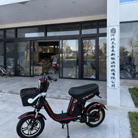 Vélo électrique urbain à grande vitesse pour les trajets quotidiens, scooter électrique élégant avec panier avant et siège large intégré