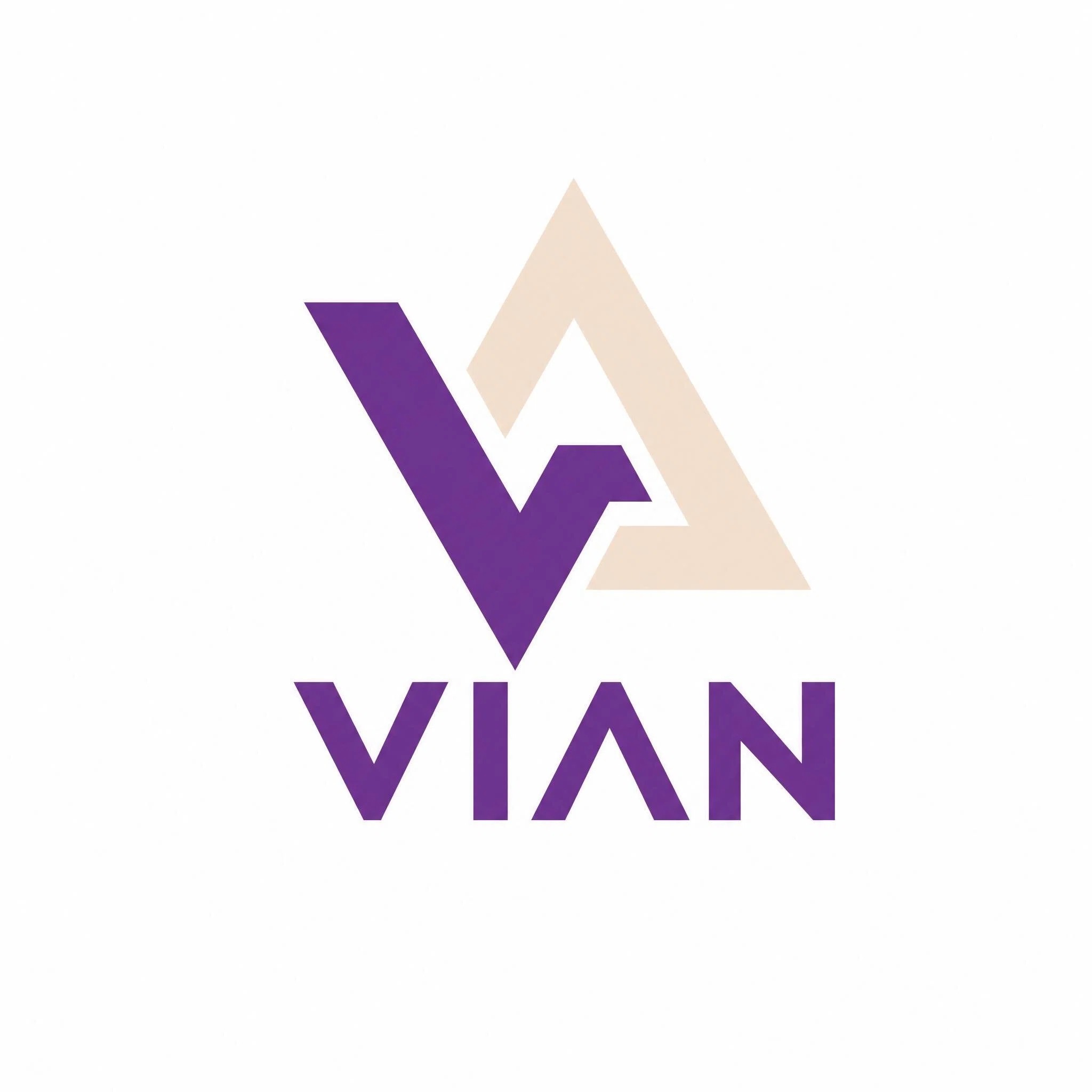 Quanzhou Vian Electronic Technology Co., Ltd. logo