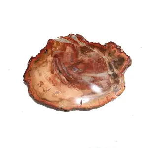 สําหรับตกแต่งบ้าน Love อัญมณี Opp กระเป๋าแผ่นตัวอย่างขัดฟอสซิลิชิ้นไม้ Petrified หินผิดปกติธรรมชาติ 5 ชิ้น