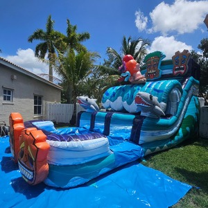 Toboganes de Agua Inflables, <span class=keywords><strong>Precios</strong></span> de Toboganes de Agua Comerciales, Inflables para Niños y Adultos - Product Image 5