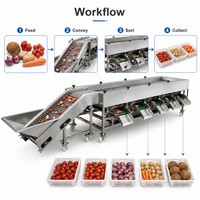 Hoog-efficiënte sorteermachine voor kiwi's, aardappelen, courgettes, tomaten, komkommers, uien, noten, fruit en groenten.