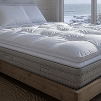 Surmatelas en coton de style hôtel 5 étoiles, épaissi, chaud, respirant, lavable, anti-acariens, antibactérien, usage hospitalier
