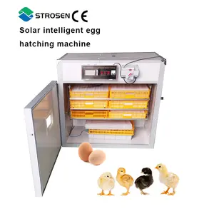 528 solar energy hybrid ostrich egg incubator small swan egg incubator