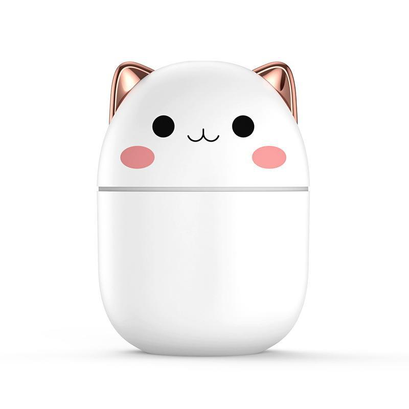 Chat mignon blanc