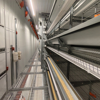 Cage à volailles en acier galvanisé pour poules pondeuses, solution d'élevage de type H avec une longue durée de vie et une garantie de 1,5 an