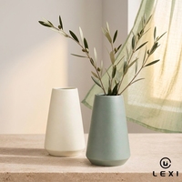 Produits élégants en promotion, décoration de maison de luxe, vase en céramique de style Molandi pour plantes/fleurs, vase à fleurs comme cadeau pour la maison, l'hôtel