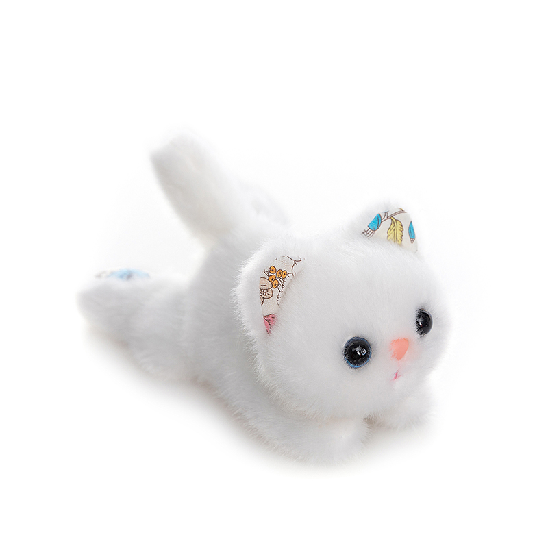 gato