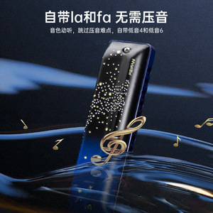 Armónica diatónica Feifan de 12 orificios F12 de escala completa con Fa y La para principiantes y jugadores avanzados - Product Image 4