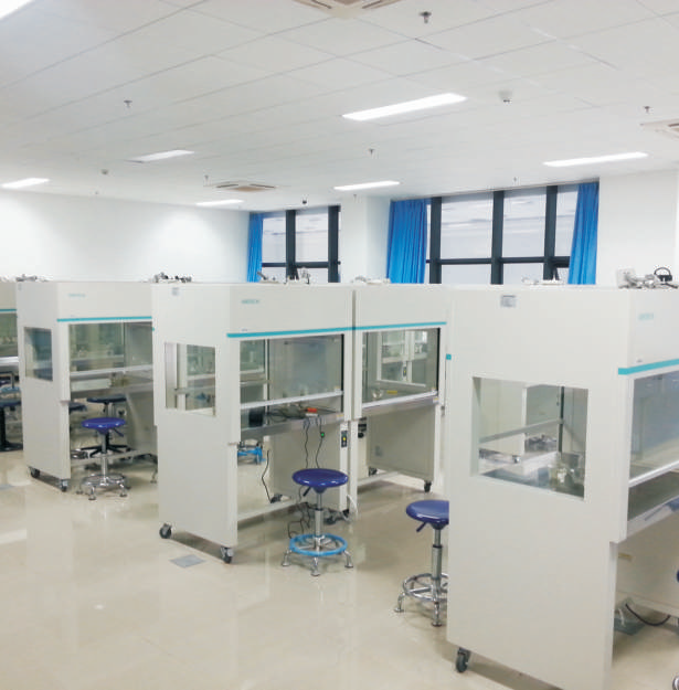 laminar flow hood mini