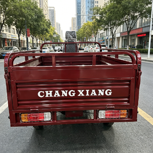 In-stock Promotion <b>Gasoline</b> CargoTricycle Full-floating Rear Axle 53 Front Shock Delivery Motorcycle for Market Vendor - Product Image 4