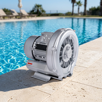 Souffleur à canal latéral à haut débit d'air 950 W 60 Hz 210 m³/h pour la circulation des piscines