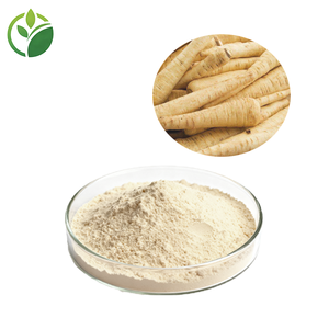 Polvo de Pastinaca a Granel, Suministro Directo de Fábrica con Muestra Gratuita, Polvo de Raíz de Pastinaca Rico en Fibra, Calidad Premium para Panadería - Product Image 1