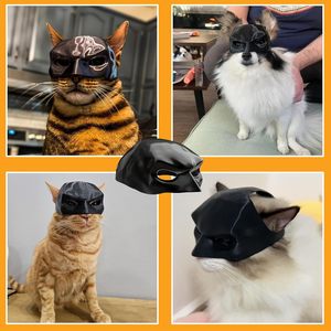 Hot <strong>Selling</strong> Eco-Friendly Bat Avenger <strong>Cat</strong> Mask New Plastic Pet <strong>Cat</strong> Dog Decoration for Halloween Cosplay Wholesale <strong>Cat</strong> <strong>Toy</strong> - Product Image 5
