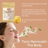 Tisane Détox Bio Chinoise Naturelle aux Herbes pour la Santé de la Rate et l'Élimination de l'Humidité, Contre la Mauvaise Haleine